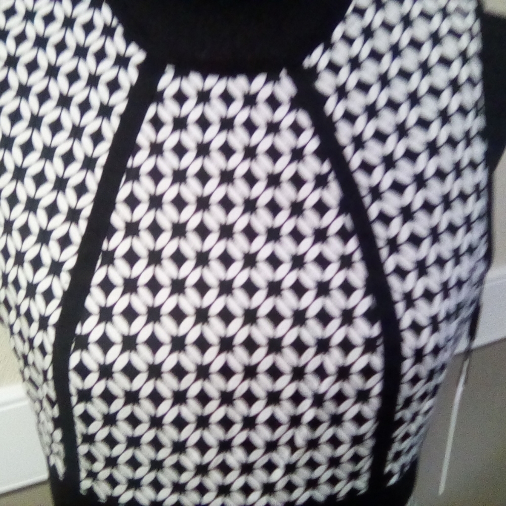 Calvin Klein Black and White Dress